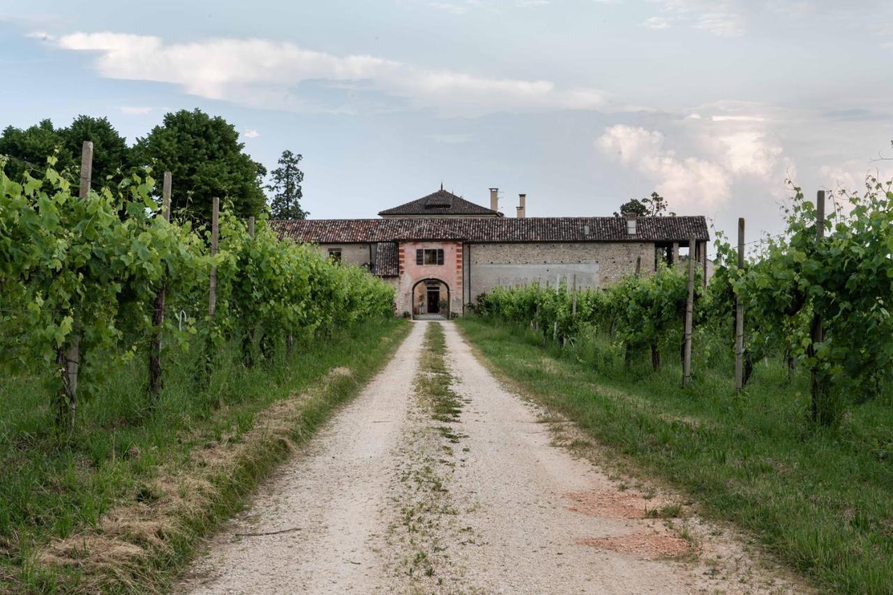 Villa Fiori&Vigne Di Cecilia Marcon Farra di Soligo Exterior foto